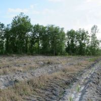 Smith Road Tract images 5