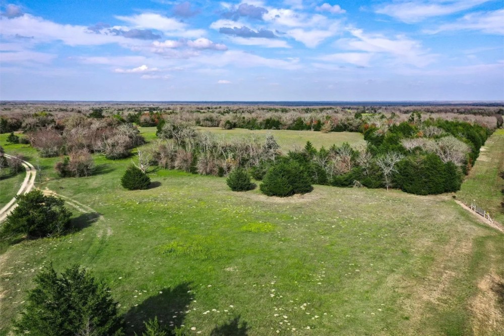 55.5 - Acres Limestone County TX featured image