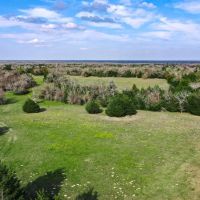 55.5 - Acres Limestone County TX