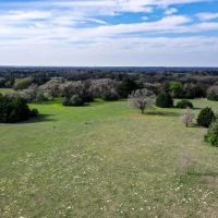 55.5 - Acres Limestone County TX images 2