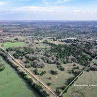 55.5 - Acres Limestone County TX images 4