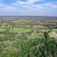 55.5 - Acres Limestone County TX images 5