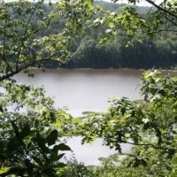 Bugs Lake East Tract