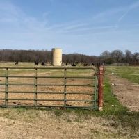 LA - Franklin 64 acres - images 3