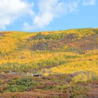Stoney Creek images 2