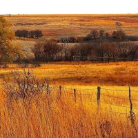 Farm for Sale in Franklin County Nebraska images 5