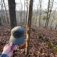 Secluded Ozarks Hunting And Rec Tract For Sale images 3