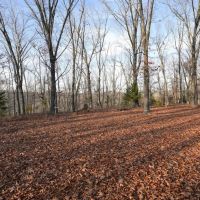 Secluded Ozarks Hunting And Rec Tract For Sale images 5