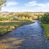 Deep Creek Wildlife Sanctuary