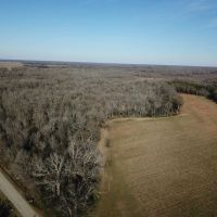 LA - Richland 36 acres - images 3