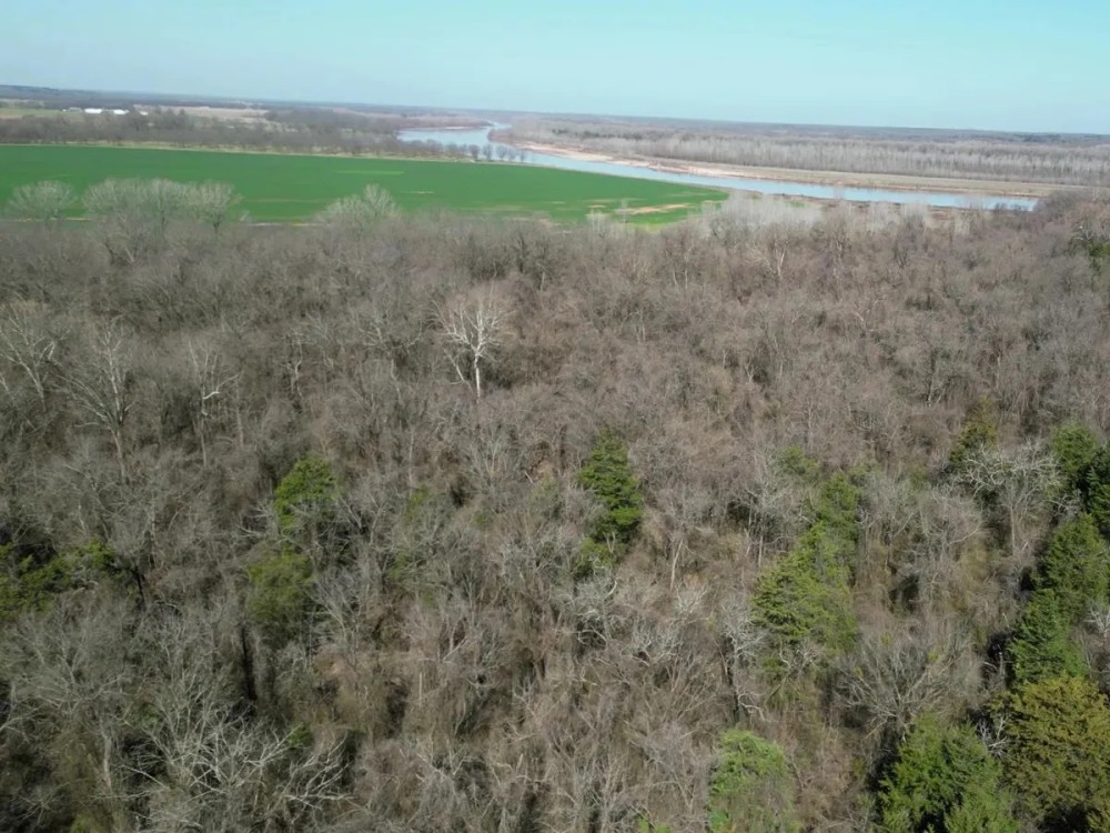 1270 Acres Hunting Ranch Bagwell TX Red River County. featured image