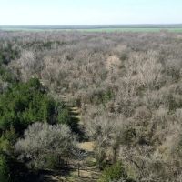 1270 Acres Hunting Ranch Bagwell TX Red River County. images 3