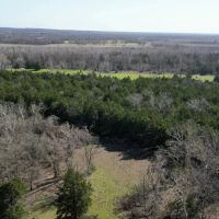 1270 Acres Hunting Ranch Bagwell TX Red River County. images 4