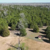 1270 Acres Hunting Ranch Bagwell TX Red River County. images 5