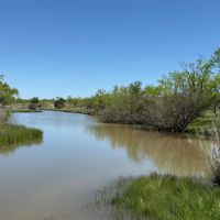 2240 - Acres….Hog Creek House Elevation Hunting Much more