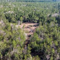 1865 N Hwy 326 Kountze Texas 77625 Hardin County images 3