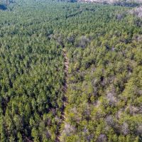 1865 N Hwy 326 Kountze Texas 77625 Hardin County images 5