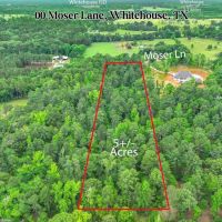TBD Moser Lane Whitehouse Texas 75791 5 acres