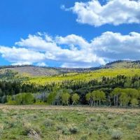 Bear Valley Ranch