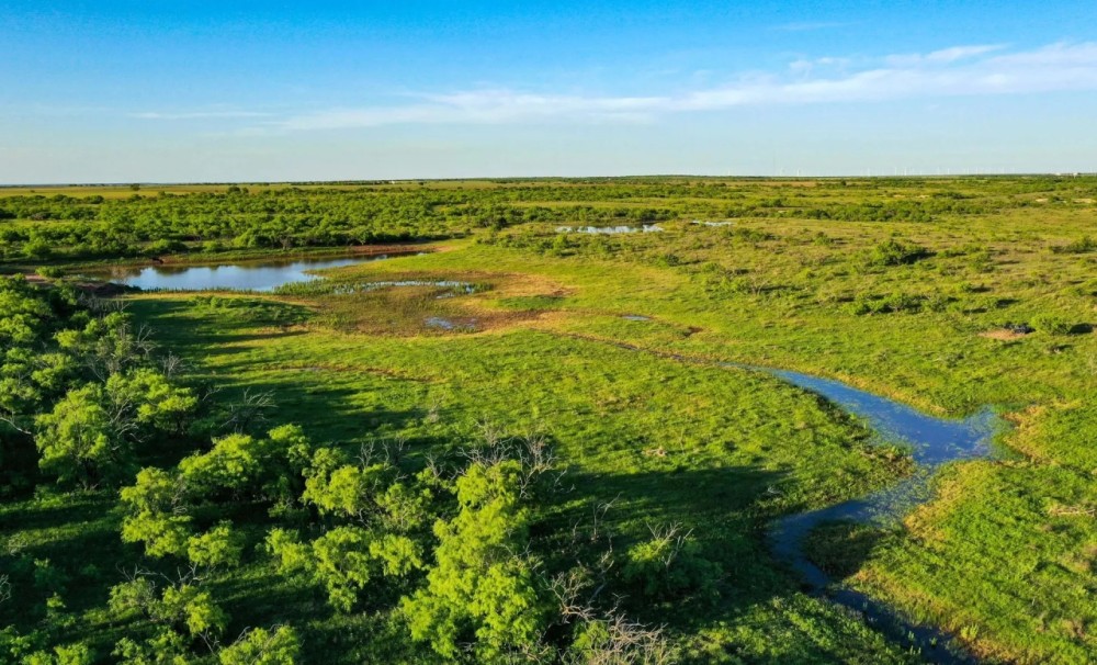 277 Acres in Baylor County featured image