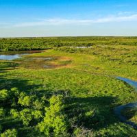 277 Acres in Baylor County