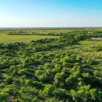 277 Acres in Baylor County images 2