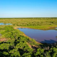 277 Acres in Baylor County images 4