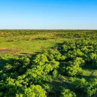 277 Acres in Baylor County images 5