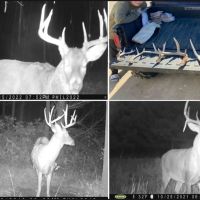 Hunting Land for Sale in Richland County Wisconsin