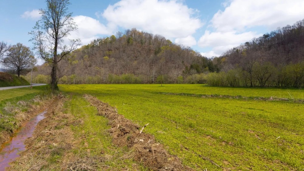Timeless Tennessee Farm 66 Acres at Absolute Auction with No Reserve featured image