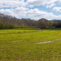 Timeless Tennessee Farm 66 Acres at Absolute Auction with No Reserve images 2