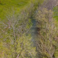 Timeless Tennessee Farm 66 Acres at Absolute Auction with No Reserve images 5