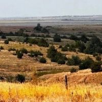 Farmland in Furnas County Nebraska for Sale images 4