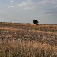 Farmland in Furnas County Nebraska for Sale images 5