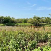 32 - Acres Jones County Tract 3 images 5
