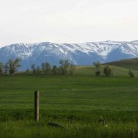 Beartooth Overlook images 3