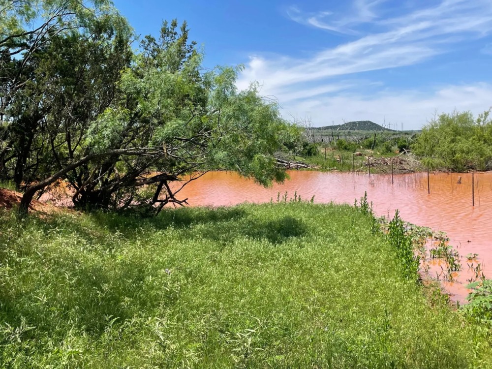 New Listing 141 Acres Taylor County featured image