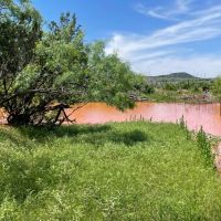 New Listing 141 Acres Taylor County