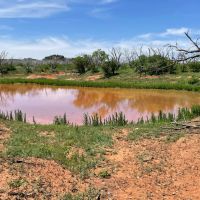 New Listing 141 Acres Taylor County images 2