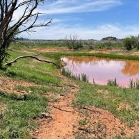 New Listing 141 Acres Taylor County images 3
