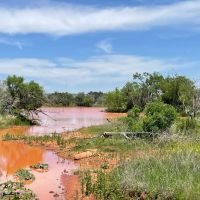 New Listing 141 Acres Taylor County images 5
