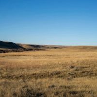 Struck Creek Ranch images 4