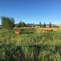 Castle Butte Ranch images 5