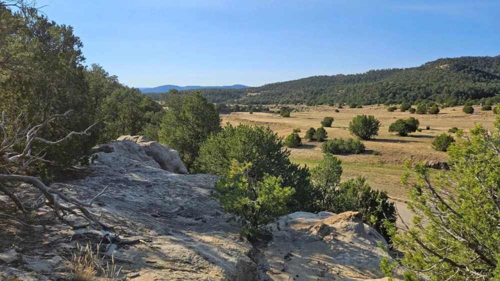 000 County Rd 53.5 Trinidad CO 81082 featured image