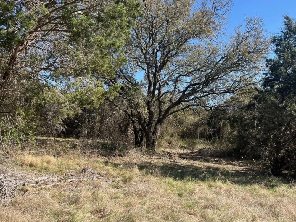 RV Ranch 48.13 Acres Lometa featured image