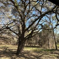 RV Ranch 48.13 Acres Lometa images 2