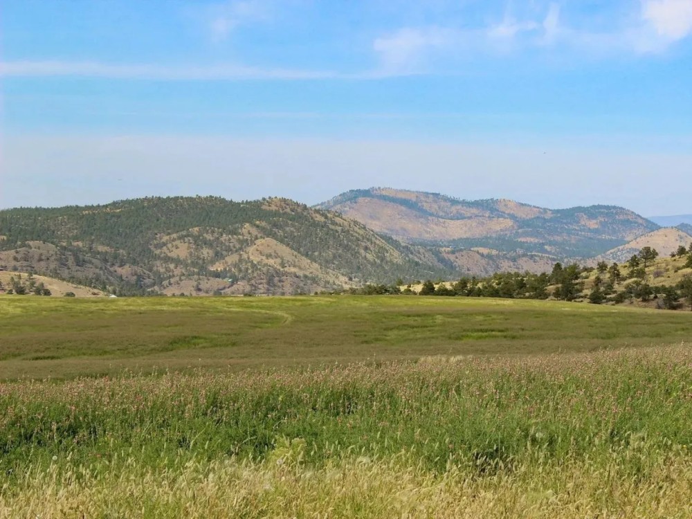Helena Valley Hay Farm featured image