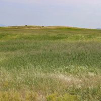 Helena Valley Hay Farm images 2