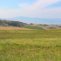 Helena Valley Hay Farm images 4