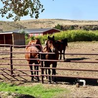Broken Spoke Ranch images 2